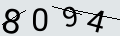 verifycode